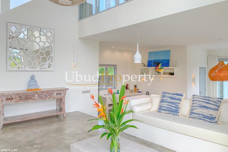 Ubud Property Villa For Lease in Ubud Bali